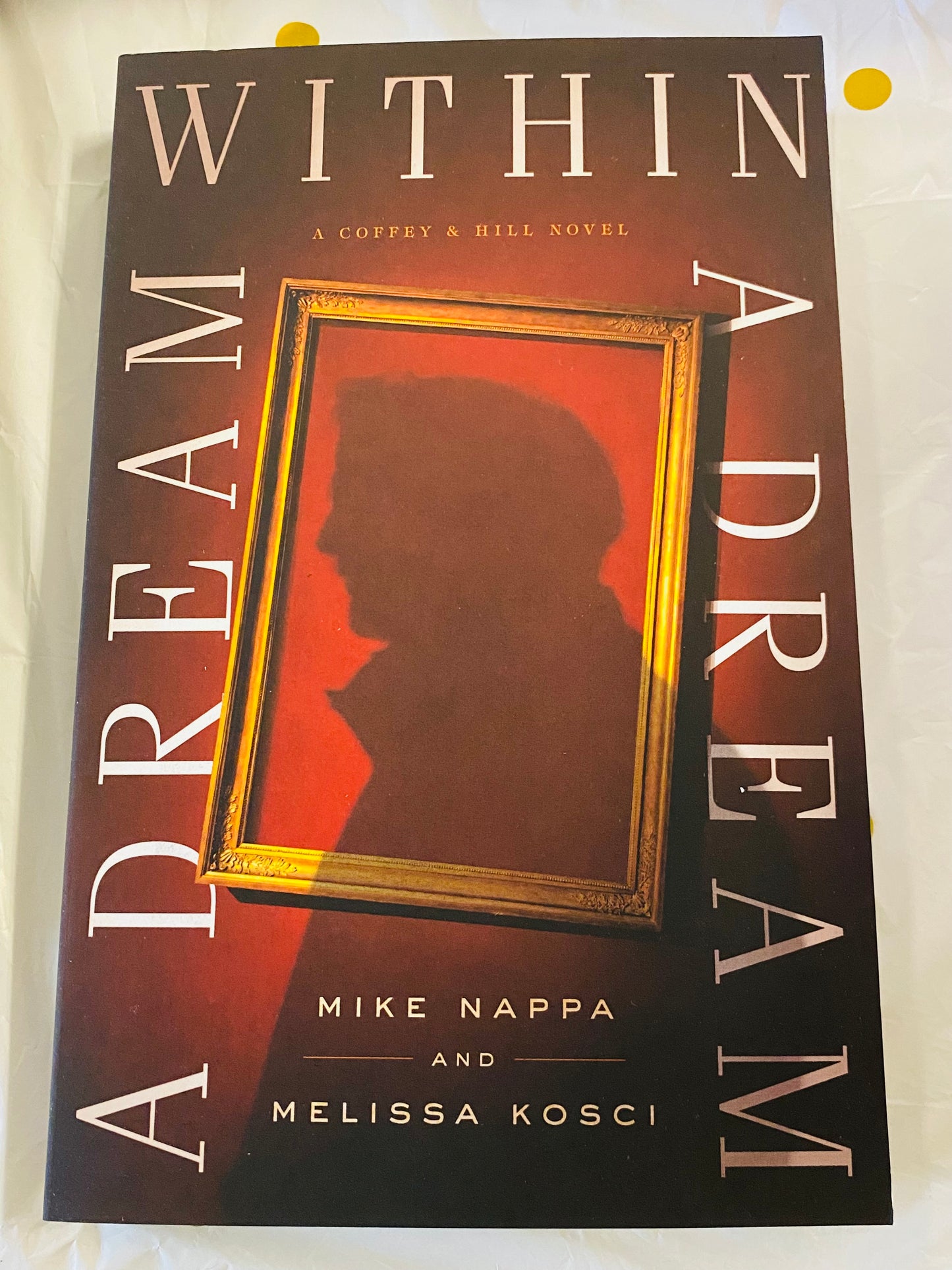 A Dream Within A Dream Novel